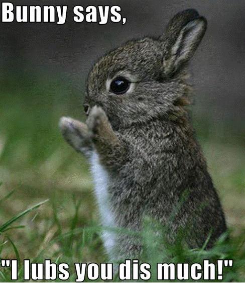 bunny%2Bsays.JPG
