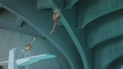 diving