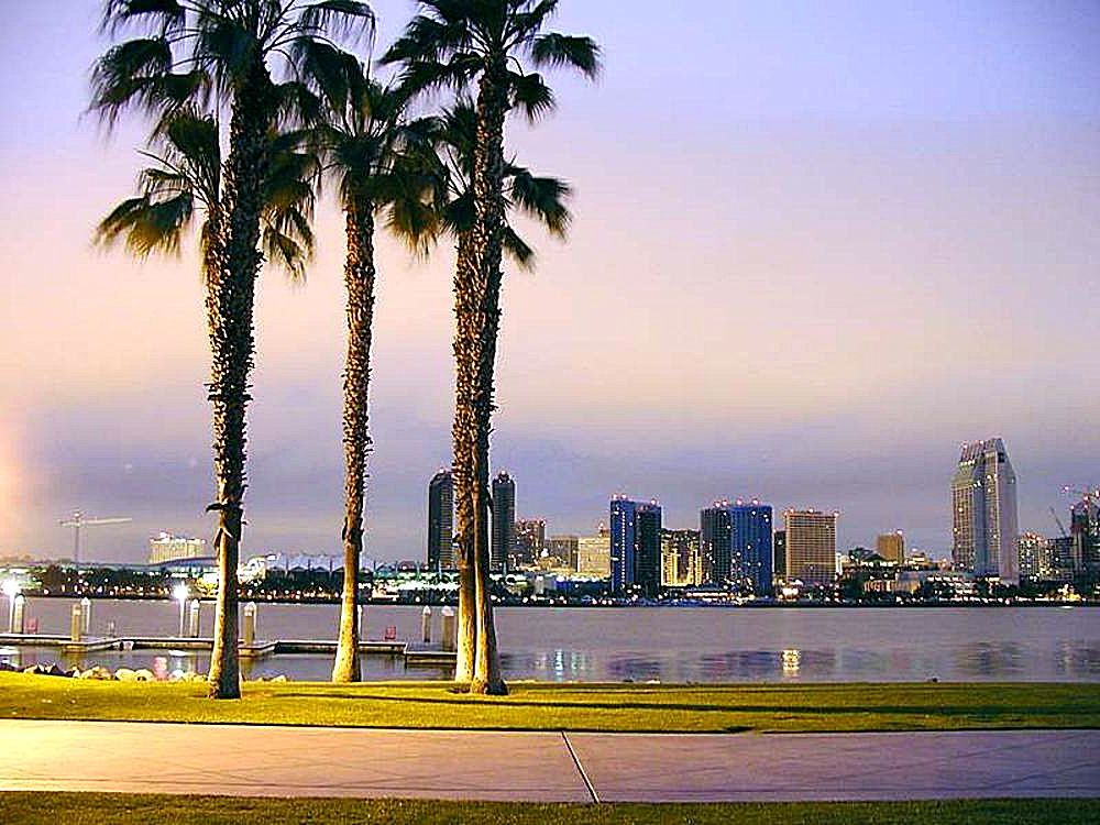 San_Diego_palms_trees_sidewalk_piers.jpg