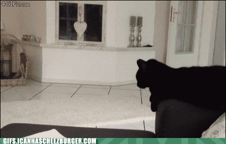 amyru8j5nEeOIDfktO_qgg2.gif