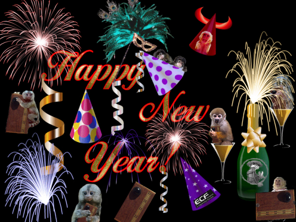 Happy_New_Year_edited-2.jpg