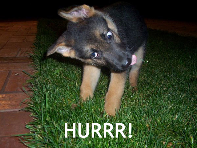 hurr-puppy.jpg