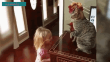 cat-plays-with-kid.gif
