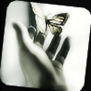 icon041.gif