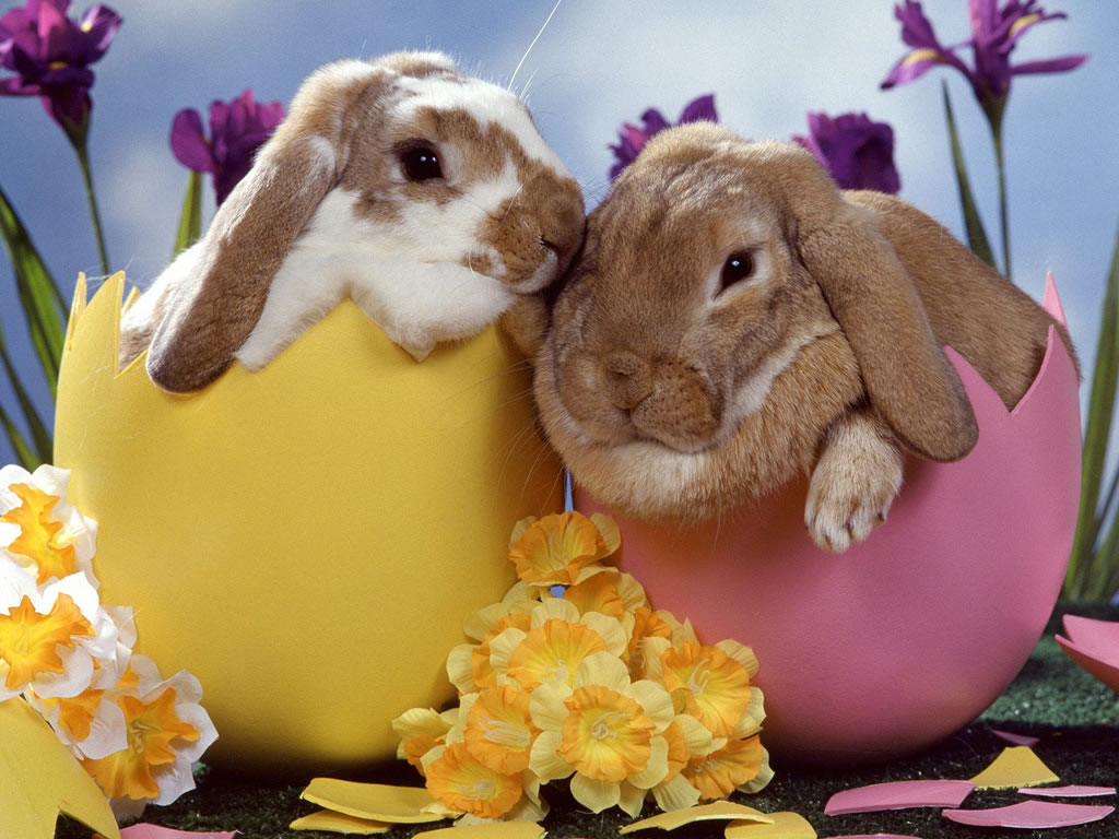 happy%2Beaster.jpg
