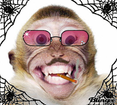 279569183_846367.gif