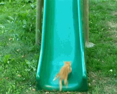 OZjP.gif