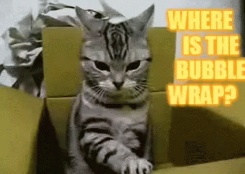 where-is-the-bubble-wrap-cat.gif