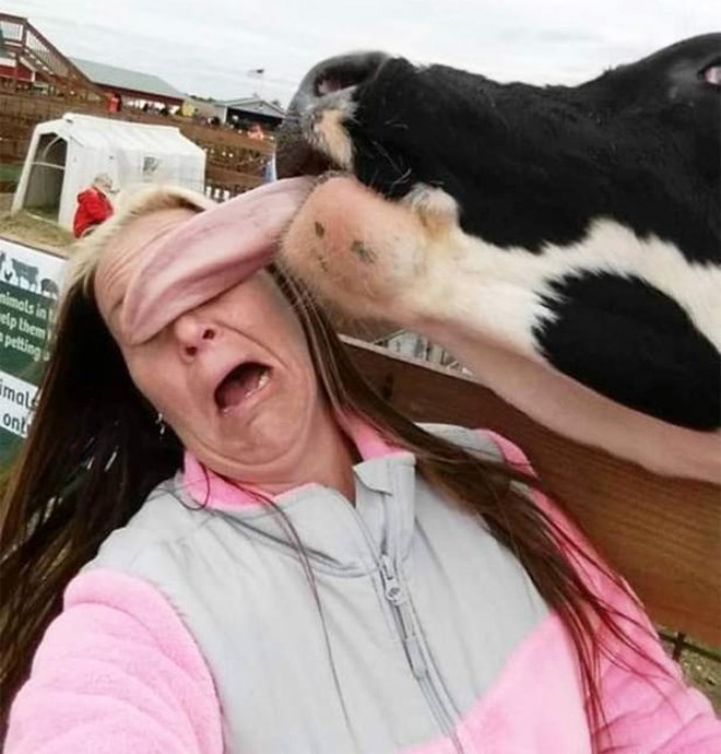 person-imals-t-welp-them-petting-mal-ont