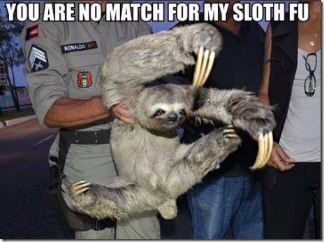 sloth-fu.jpg