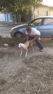 EmemdId.gif