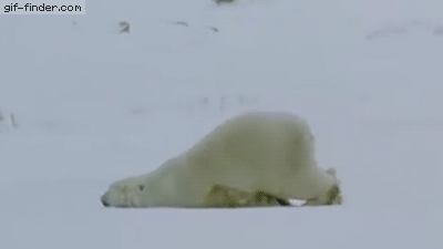 ziu34y4.gif