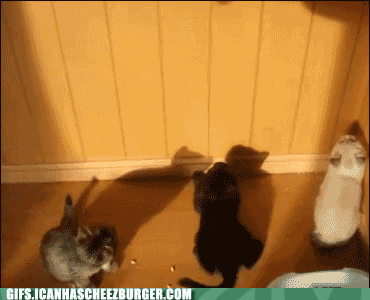 illusions-shadows-on-the-wall