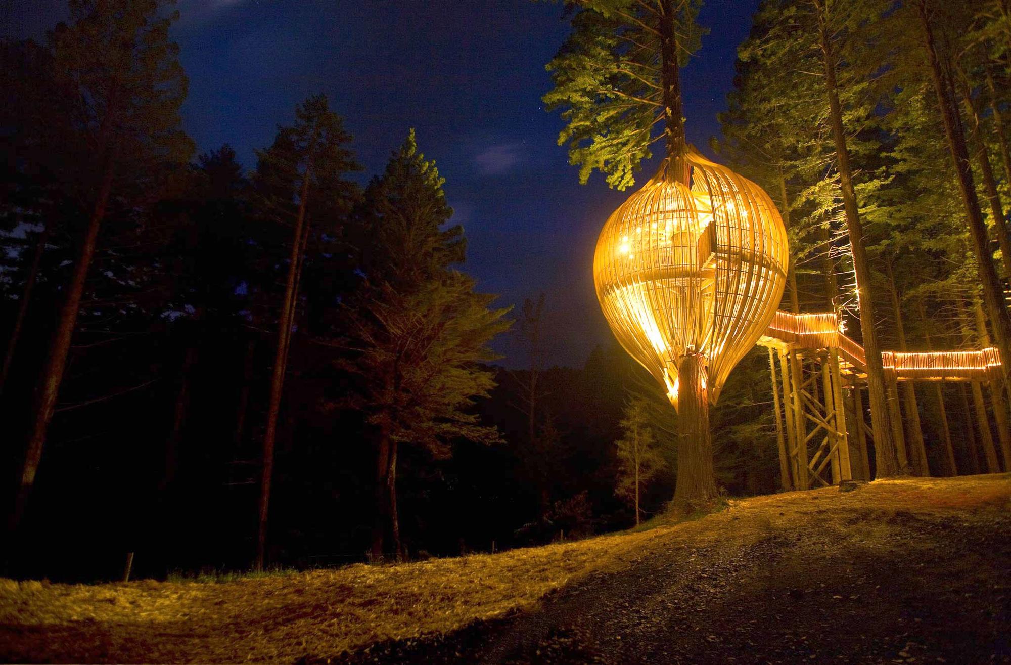 redwoods-treehouse-night.jpeg