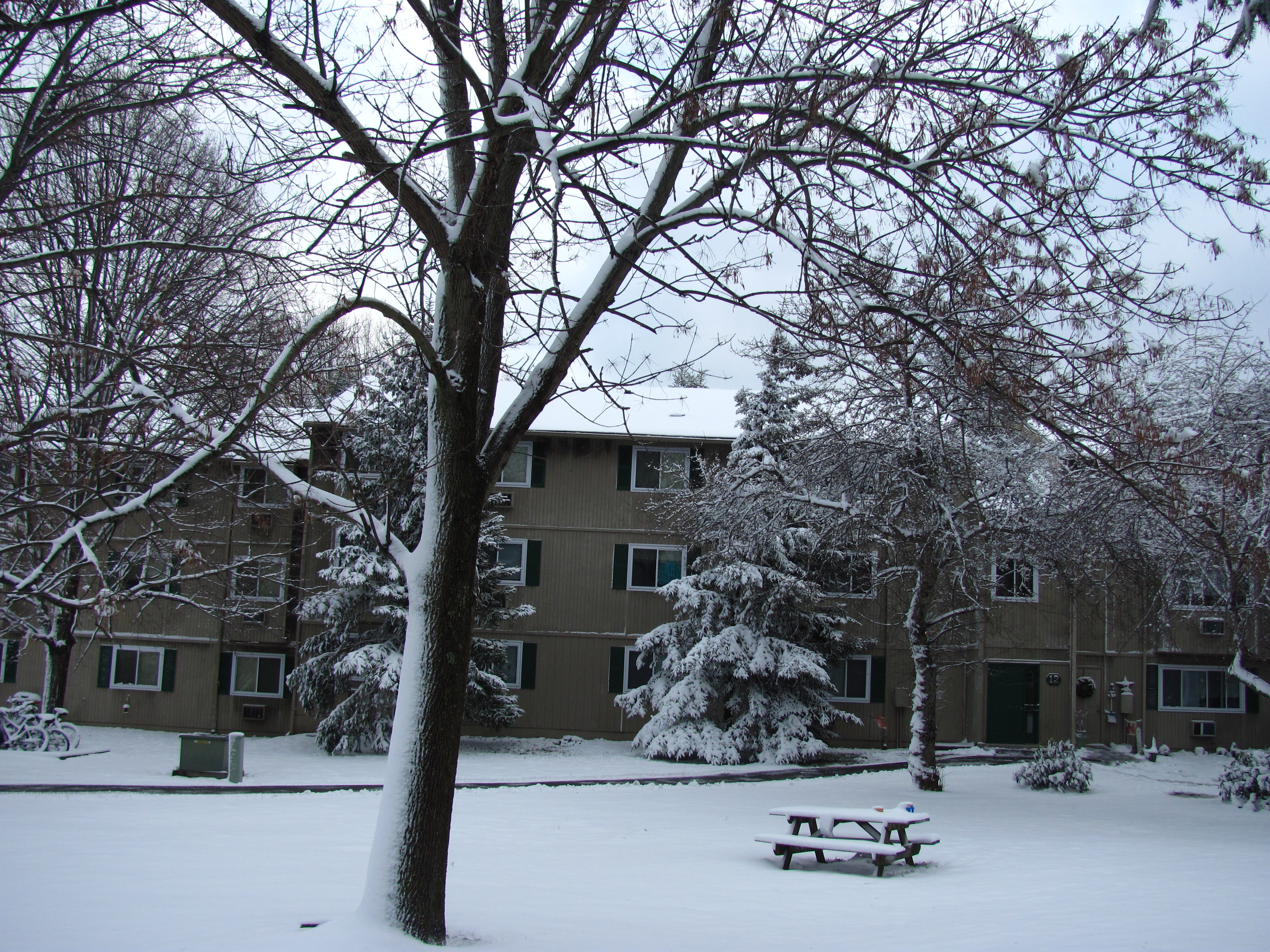 Winter_morning_US.jpg