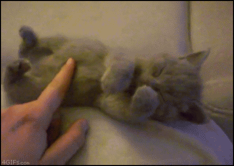 slide_352204_3811510_free.gif