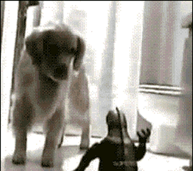 ruuuun