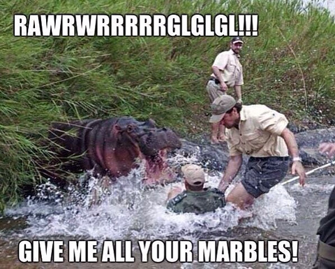 real-hungry-hippo.jpg