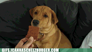 1LvuFXn4Wkm4ADiTBptO-A2.gif