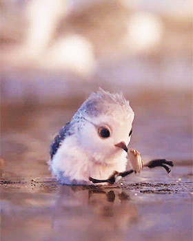 93ae6301ce2154be85a174323098dc53.gif