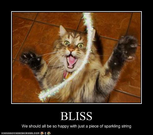 bliss.jpg
