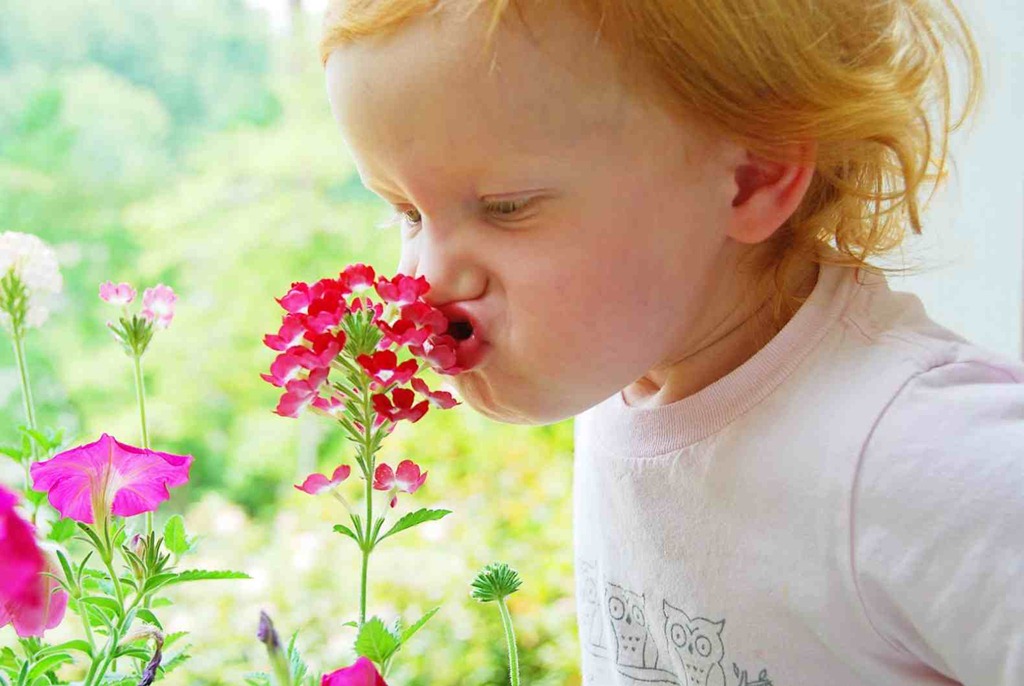 kid-sniffing-flowers-kids-aromatherapy.jpg