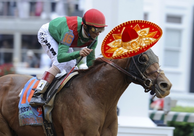 5212horse.jpg