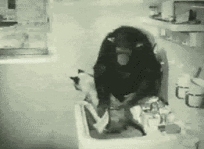bjupIva.gif