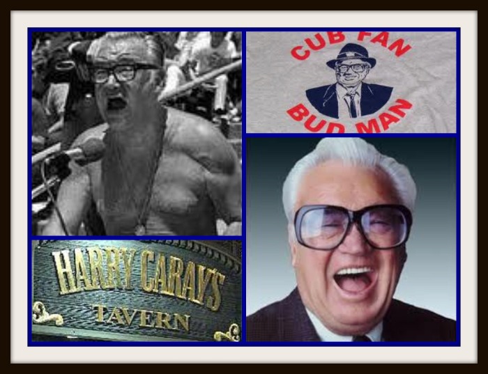 Im-a-Cub-Fan.jpg