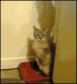 1318.gif