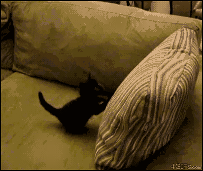 Fzae08P.gif