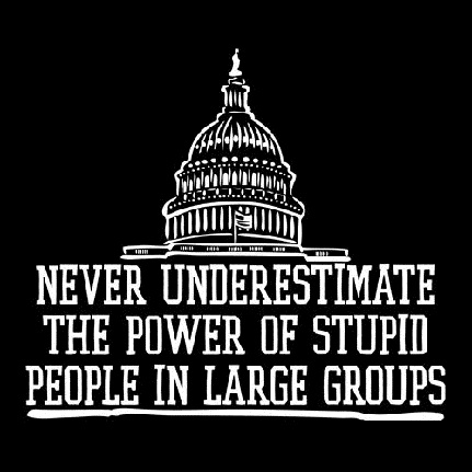 Stupid%20Congress.jpg
