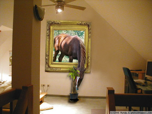 photoshop-horse-6.jpg