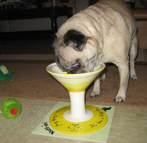 pugtini.jpg