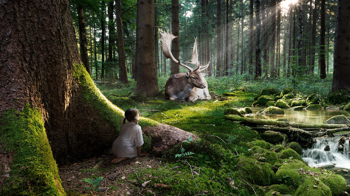forest_dream_by_machiavellicro-d5hwsic.jpg