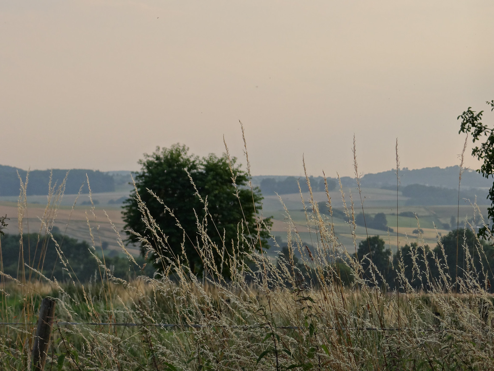 9400442560_34508a65f2_h.jpg
