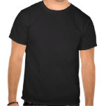 show_me_your_kitties_t_shirt-r91f98d8d47cd4e9b89ed0f7b793128ce_va6lr_152.jpg
