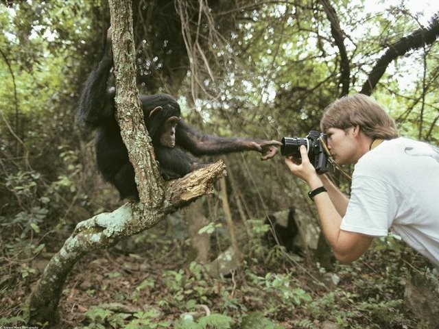 photographer-nature.jpg
