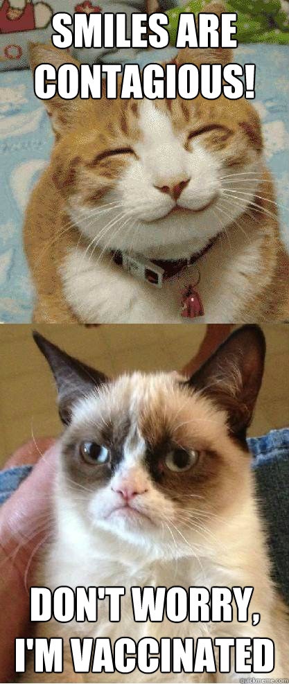 grumpy-cat-joke-pic.jpeg