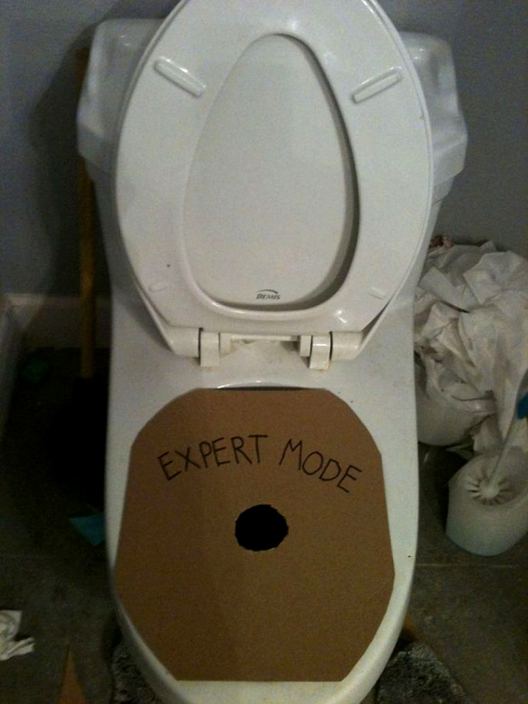 expert-mode-toilet.jpg