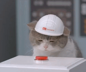 7Nfw.gif