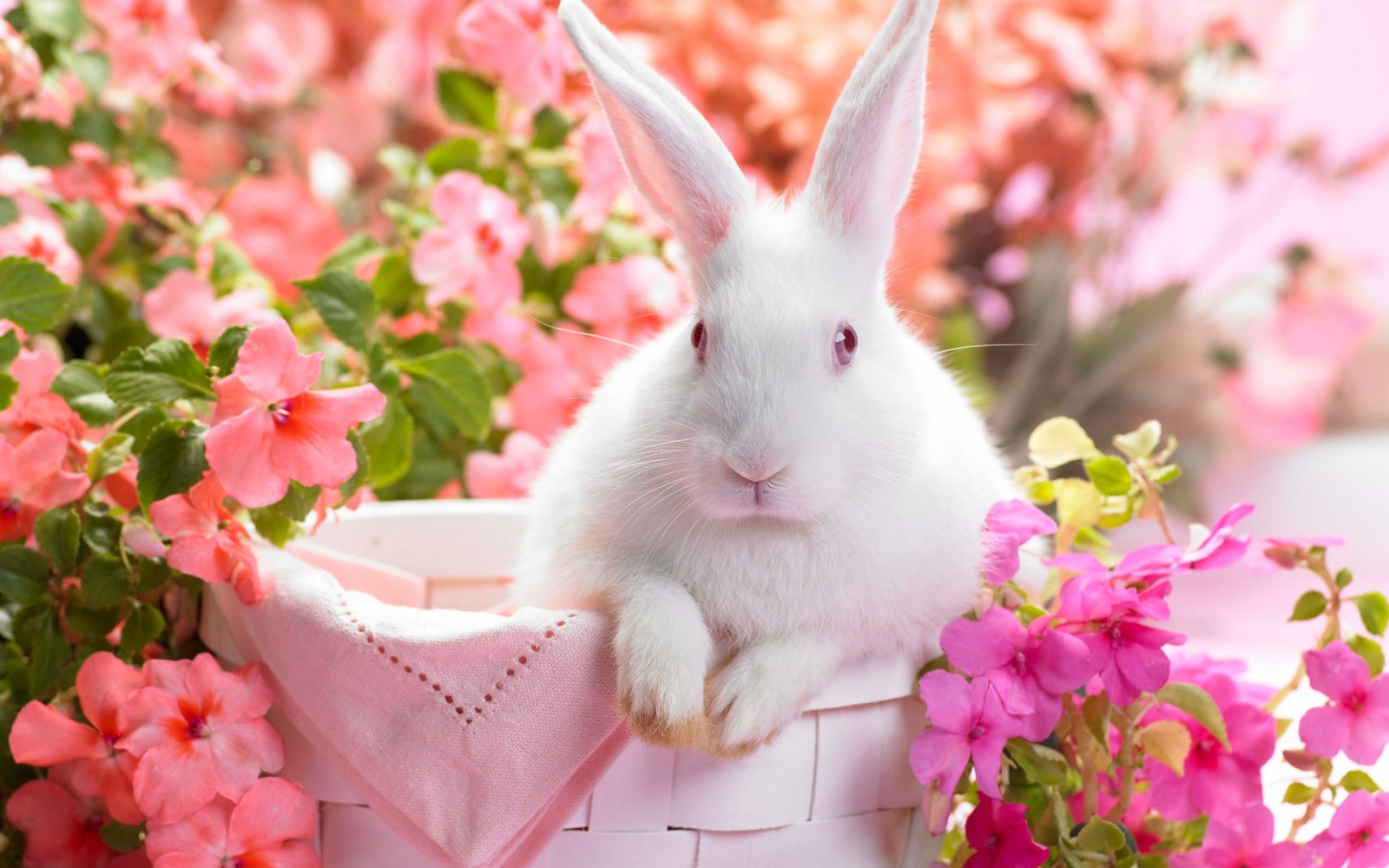 spring-time.jpg