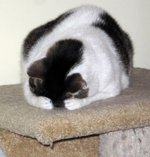hide-and-seek-12.jpg