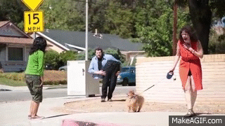 rWsz0J6.gif