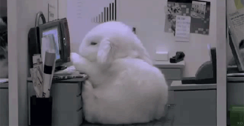 PUtMI8I.gif