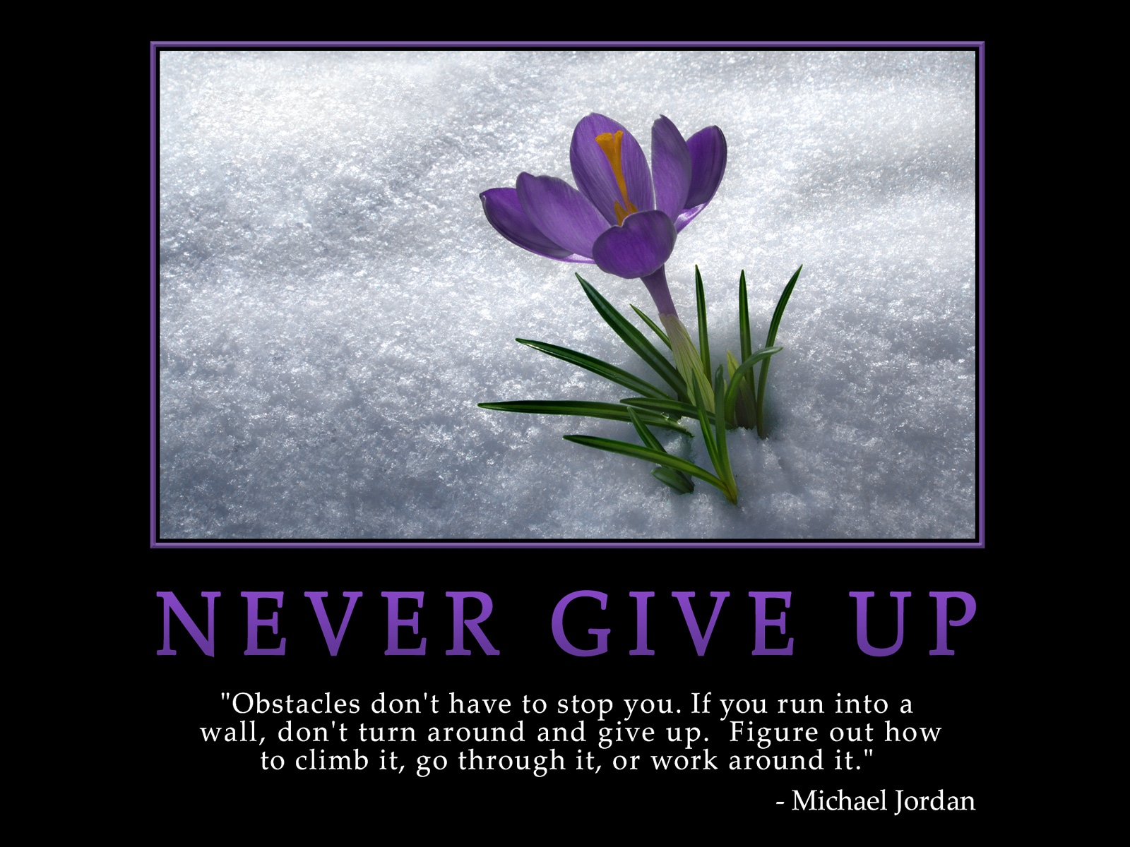 never.jpg