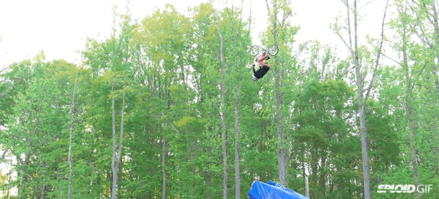 gifs_16.gif