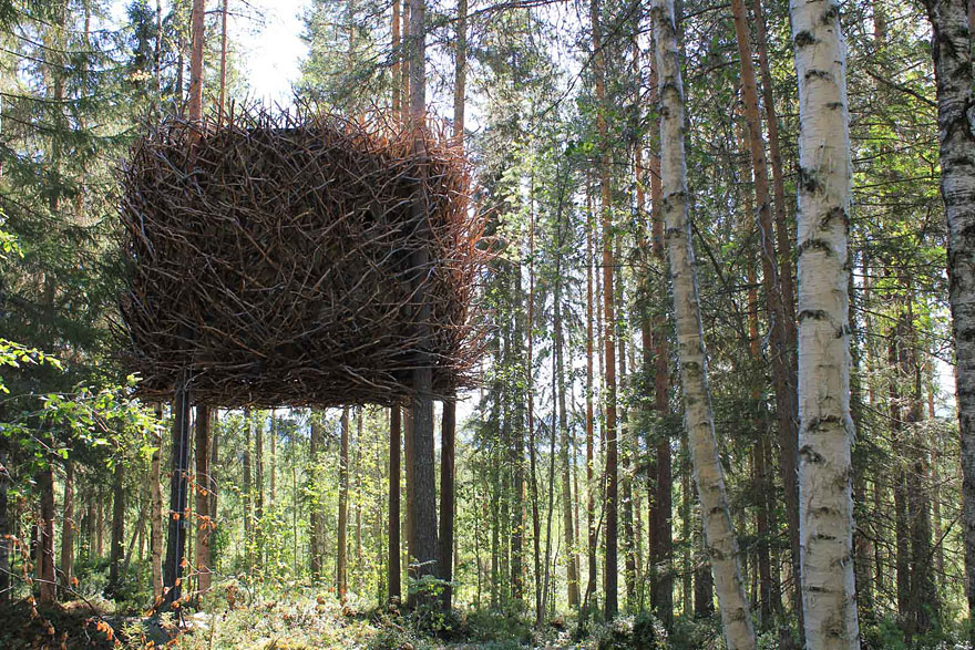 amazing-treehouses-11.jpg