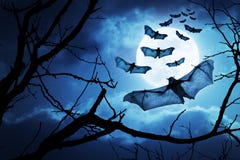 creepy-bats-fly-halloween-night-full-moon-behind-them-34222760.jpg