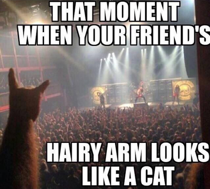 arm-looks-like-cat.jpg